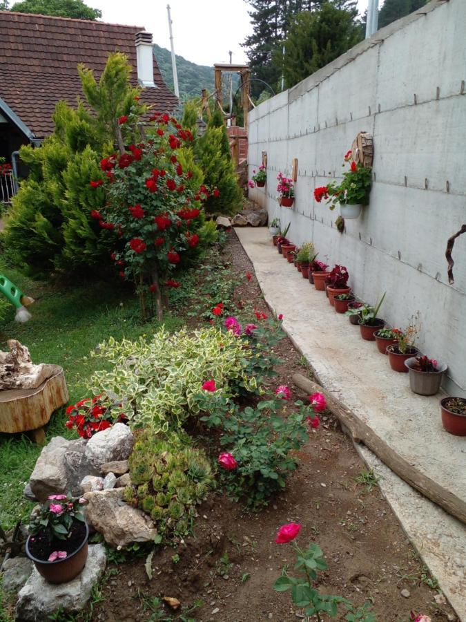 Ferienwohnung Skriveni Raj Vrdnik Exterior foto