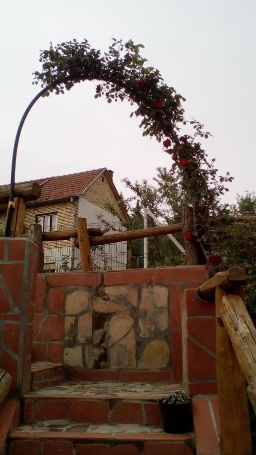 Ferienwohnung Skriveni Raj Vrdnik Exterior foto